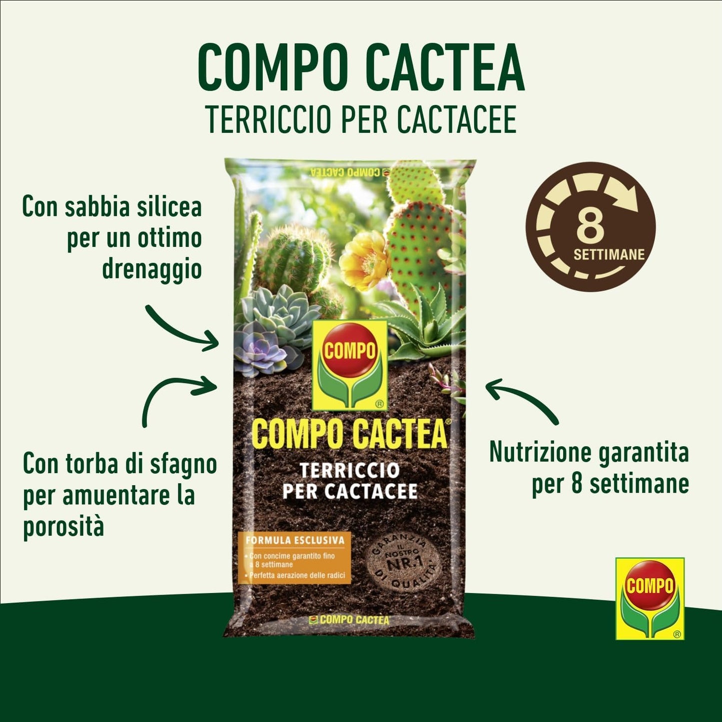 Terriccio Piante Grasse