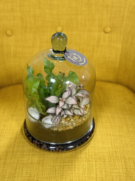 Terrarium in Vetro